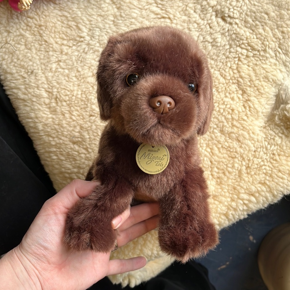 Super cute! Chocolate Lab stuffy